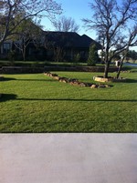 Smart Lawn and Landscape