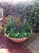 Smart Lawn and Landscape