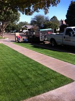 Smart Lawn and Landscape