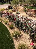 Smart Lawn and Landscape