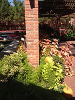 Smart Lawn and Landscape