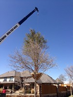 Smart Lawn and Landscape