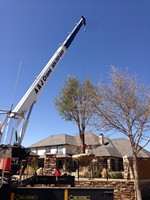 Smart Lawn and Landscape