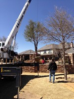 Smart Lawn and Landscape