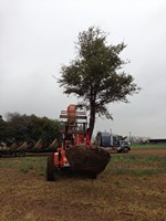 Smart Lawn and Landscape