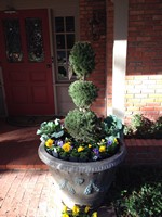 Smart Lawn and Landscape