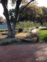 Smart Lawn and Landscape