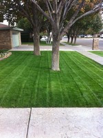 Smart Lawn and Landscape
