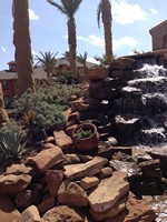 Smart Lawn and Landscape