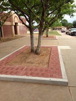 Smart Lawn and Landscape