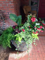 Smart Lawn and Landscape