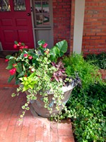 Smart Lawn and Landscape