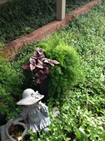 Smart Lawn and Landscape