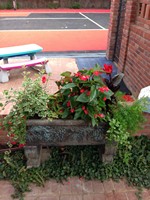 Smart Lawn and Landscape