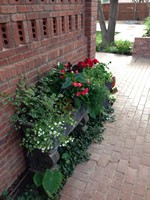 Smart Lawn and Landscape