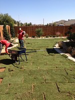 Smart Lawn and Landscape