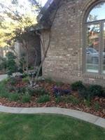 Smart Lawn and Landscape