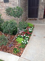 Smart Lawn and Landscape