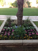 Smart Lawn and Landscape