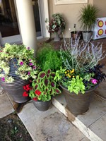 Smart Lawn and Landscape