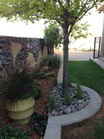 Smart Lawn and Landscape