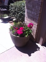 Smart Lawn and Landscape