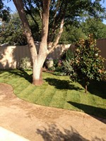 Smart Lawn and Landscape