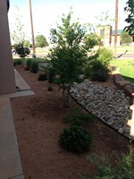 Smart Lawn and Landscape