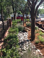 Smart Lawn and Landscape