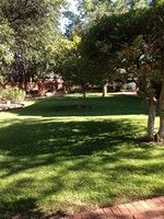 Smart Lawn and Landscape