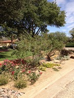 Smart Lawn and Landscape