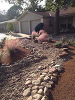 Smart Lawn and Landscape