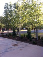 Smart Lawn and Landscape